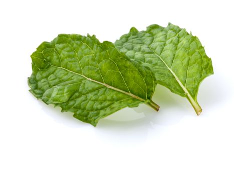 Close up Green mint leavs with water drop isolate on white background.