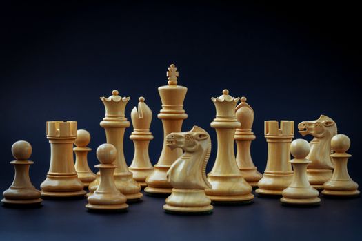 Chess concept save the king and save the  strategy.