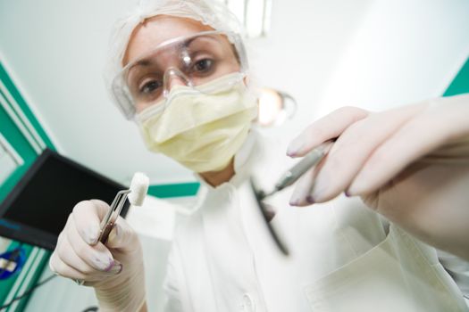 Dentist holding Dental Tweezers with coton pad and Angled Mirror for inspecting a patient. Selective Focus.