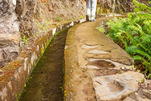 Hiking on the island Madeira along the irrigation channel (Levada)