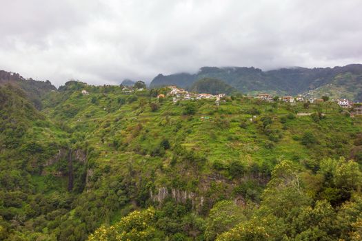Typical rural landscape between Faial and Porto da Cruz, Portugal, Madeira, Europe