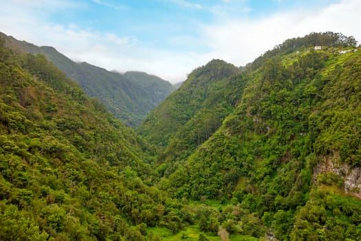 green tropical forest valley with blue sky