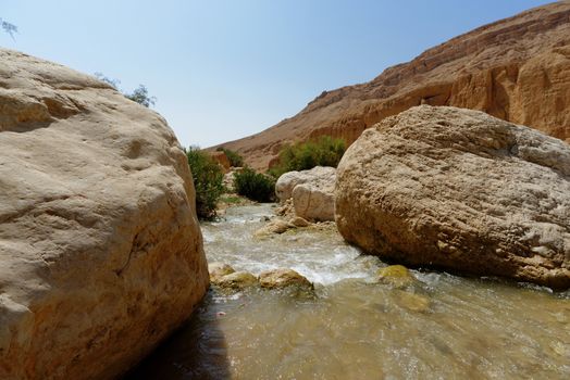 Wadi bin Hammad creek in desert in Jordan