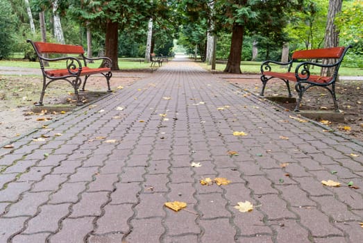 Benches in autumn park