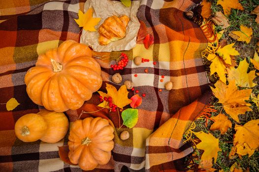 Romantic autumn still life with blanket, pumpkins, walnuts and leaves, top view