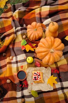 Romantic autumn still life with blanket, cake, pumpkins, coffee cups and leaves, top view