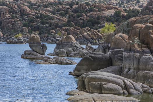 Lake views in the Arizona desert