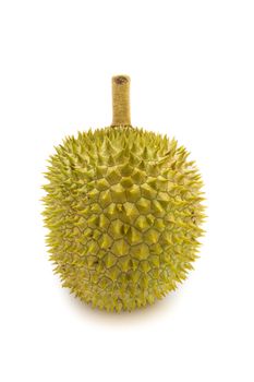 King of fruits. durian isolated on white background. most popular in thailand