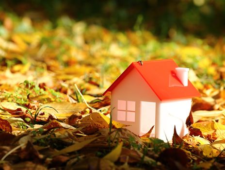 
model house amid autumn leaves