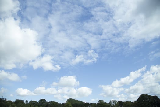 Clouds in the sky with a low tree line