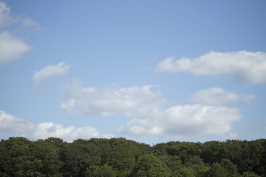 blue sky and white clouds with tree line