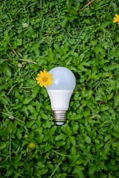 LED Bulb - Technology of eco-friendly lighting