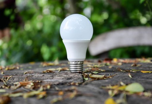 LED Bulb - Technology of eco-friendly lighting