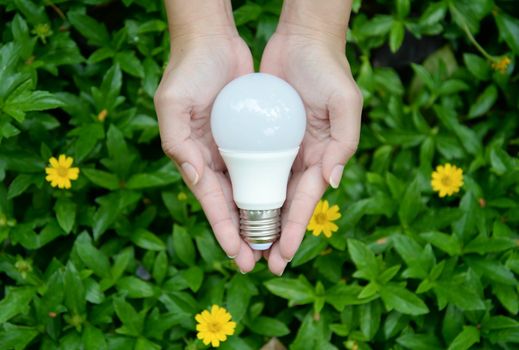 LED Bulb - Technology of eco-friendly lighting