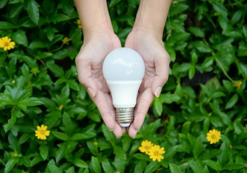 LED Bulb - Technology of eco-friendly lighting