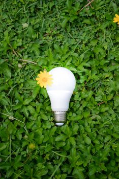 LED Bulb with lighting - Technology of eco-friendly lighting