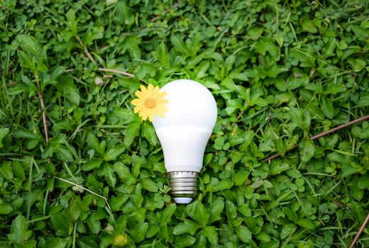 LED Bulb with lighting - Technology of eco-friendly lighting