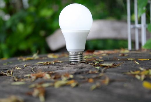 LED Bulb with lighting - Technology of eco-friendly lighting