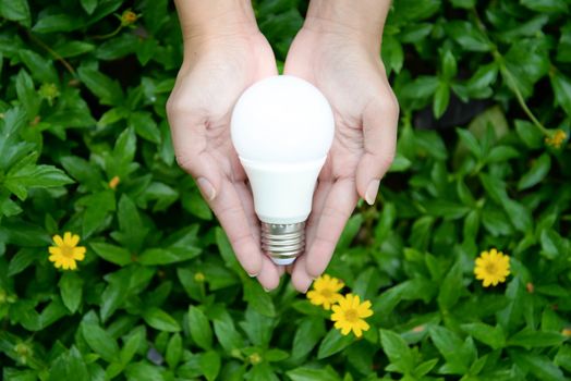 LED Bulb with lighting - Technology of eco-friendly lighting