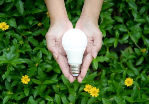 LED Bulb with lighting - Technology of eco-friendly lighting