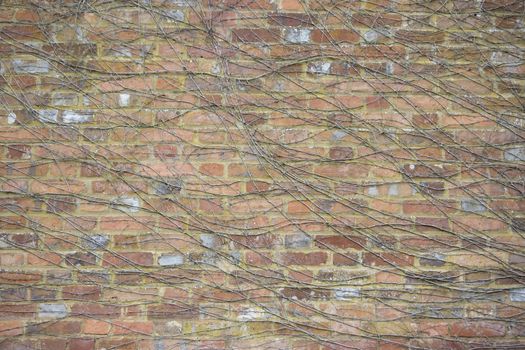Old brick wall - texture, background