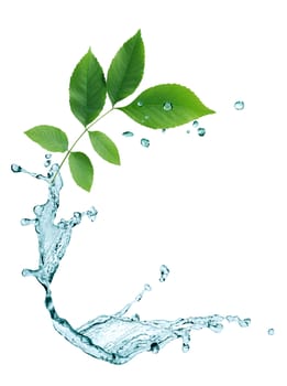 Ecology concept. Abstract composition with green leaves and water drops