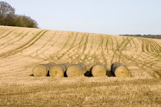 Bales of hay