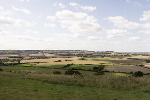 Hertfordshire landscape