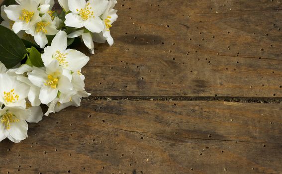 Jasmine white flower on a  old wooden table