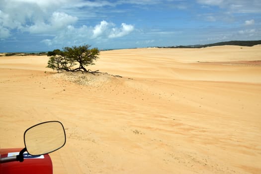 Dune seen from the buggy mirror