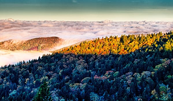 autumn drive on blue ridge parkway