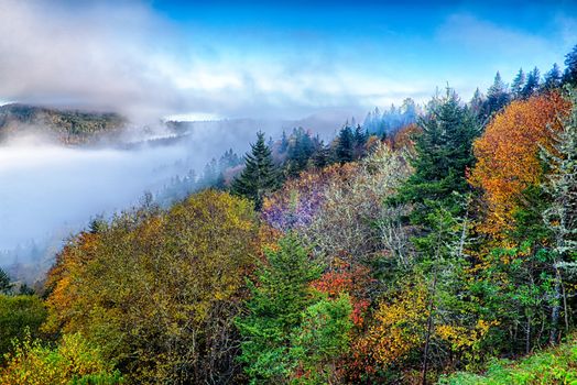 autumng season in the smoky mountains