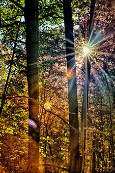 stone mountain north carolina scenery during autumn season