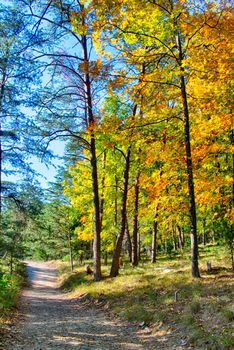 stone mountain north carolina scenery during autumn season