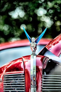 woman holding wheel car hood emblem