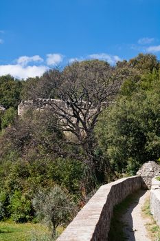 An old medieval wall and trees in San Quirico d'Orcia
