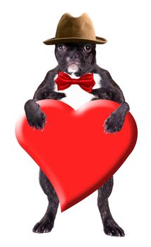 French Bulldog in a hat with a heart in his paws