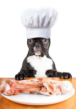 french bulldog dog looks at a plate with large bone