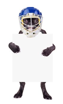 French Bulldog hockey helmet with a blank in the legs
