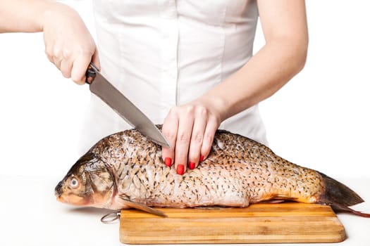 cook cut fish on the white isolated background