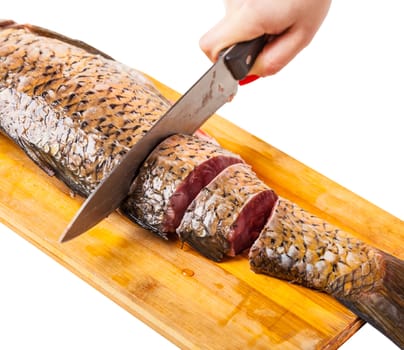 hand with a knife cut fish on the white isolated background