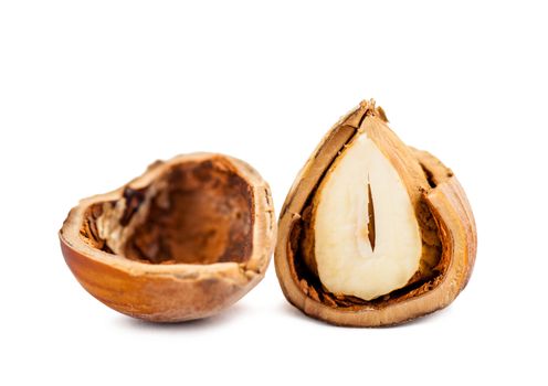 chopped hazelnuts close up isolated on white background