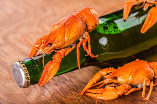 beer in a glass bottle and crayfish close-up on wooden background