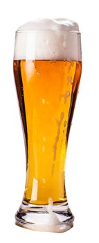 glass of light beer isolated on a white background