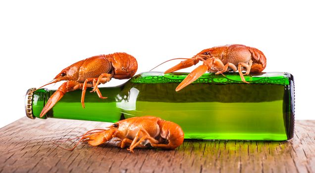 glass bottle of beer and crayfish on a white background