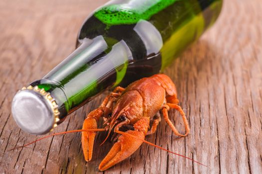 beer and crayfish close-up on wooden background