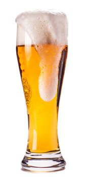 glass of beer isolated on a white background