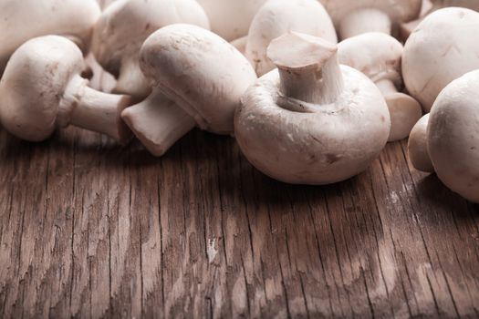 lots of fresh mushrooms lying on a wooden background