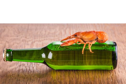 glass bottle of beer and crayfish on a white background