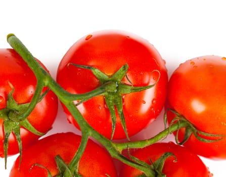 bunch of ripe tomatoes closeup isolated on white background